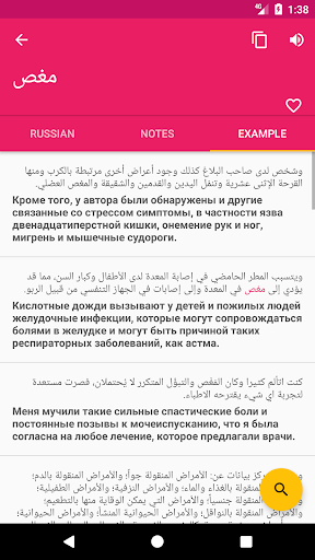 Arabic Russian Dictionary Screen 3
