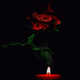 Red Candle Rose LWP icon