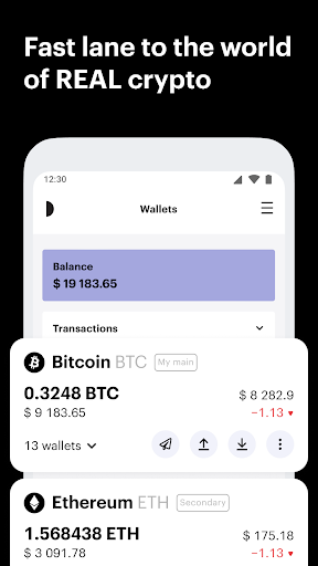 Paybis Crypto Wallet: Buy BTC Screen 3