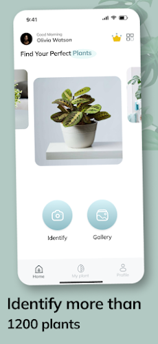 Plant Pic: AI plant Identifierのおすすめ画像3