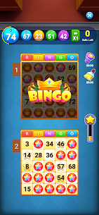 Bingo Amaze 3