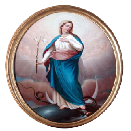 Tributo Cotidiano logo