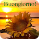 Buongiorno Immagini Download on Windows