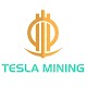 Tesla Mining Windowsでダウンロード