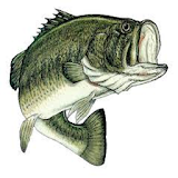 Freshwater Fishing icon