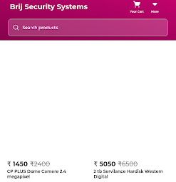 Brij Security Systems