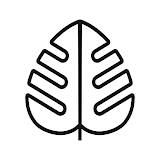 Monstera - Plant guide