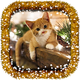 Sweet Christmas Photo Frames icon
