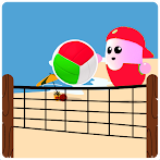 Volleyball Volleybeans