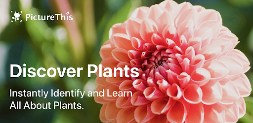 PictureThis - Plant Identifier