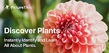 PictureThis - Plant Identifier
