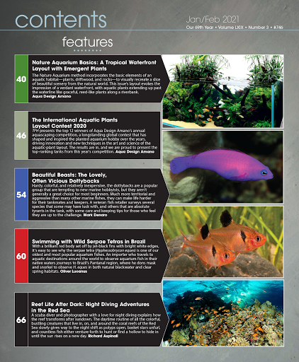 Tropical Fish Hobbyist