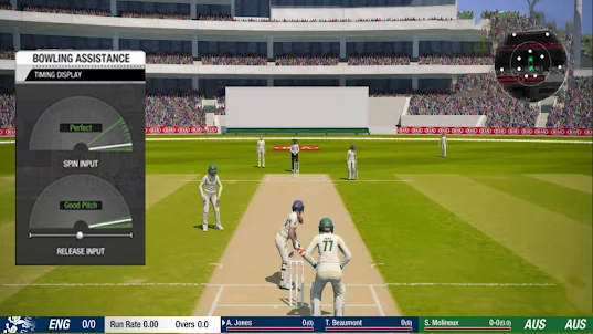 Real World Cricket T20 Games