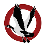 Goose Tech icon