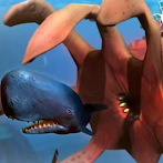 Shark Growing Growing