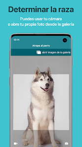 Dog Scanner: Raza del perro - Aplicaciones en Google Play