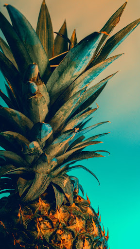 Pineapple Wallpaper Screen 3