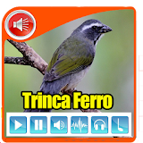 Canto De Trinca Ferro 2017 icon