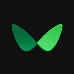 Icon image