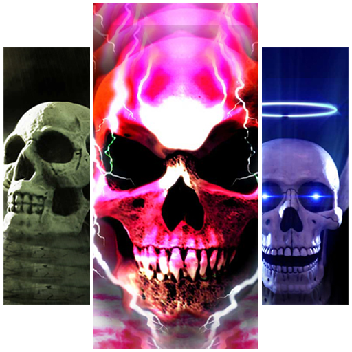 Skulls Wallpapers 1.7 Icon