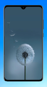 Captura de Pantalla 1 Dandelion Wallpaper HD android