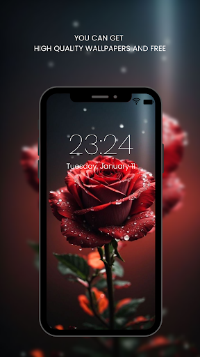 Screenshot of Red Rose Wallpapers Flowers