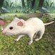 Rat Mouse Simulator Wild Life - Androidアプリ