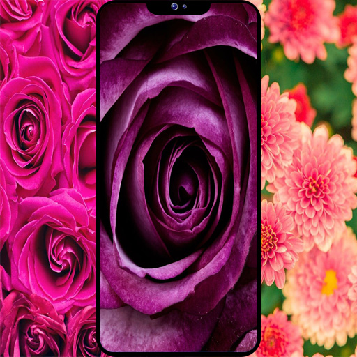 Flowers Wallpaper logo