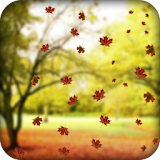 Leaves 3D Live Wallpaper icon