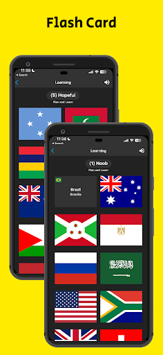 Flags Quiz Game Screen 3