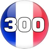 Learn Top 300 French Words icon