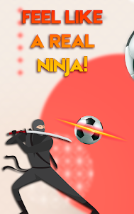 Ninja Ball Lord