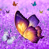 Lavender Diamond Butterfly icon