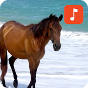 Top 30 Lifestyle Apps Like Horse Sound Effects - Best Alternatives