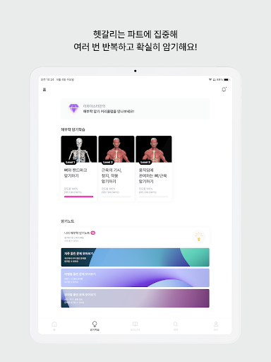 아나토미마스터 - 이파마스터가 만든 해부학 암기앱 Screenshot