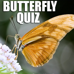 Icon image Quiz : What Butterfly Are You 