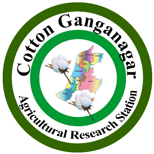 Cotton Ganganagar logo