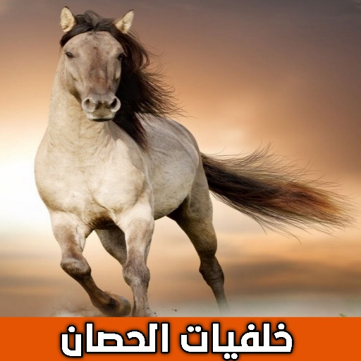 خلفيات الحصان logo
