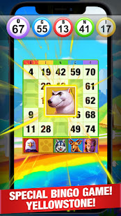 Bingo 2021 - Casino Bingo Game  Screenshots 6