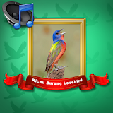 Master Burung Lovebird Mp3 icon