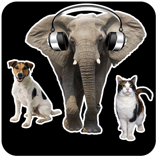 Animal Sounds  Icon