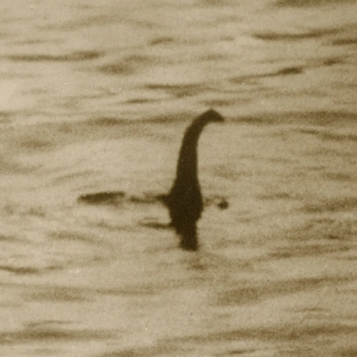 Loch Ness Monster Recordings logo