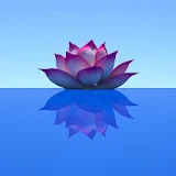 Exotic Lotus HD Live wallpaper icon