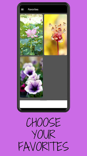 Flower Wallpapers HD Screen 2