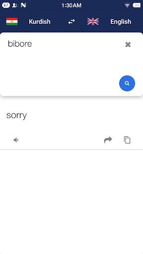 Kurdish English Translate Screen 3