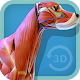 Visual Canine Anatomy 3D - learn anatomy Unduh di Windows
