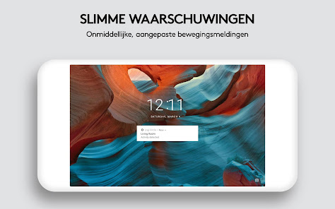 Screenshotafbeelding