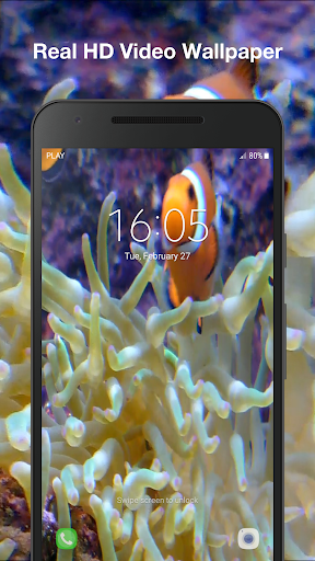 Real Fish Live Wallpaper Pro Screen 3
