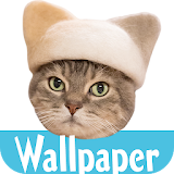 Wallpaper: Cats' Hair Hats icon