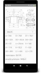 Flanges  GOST 28919